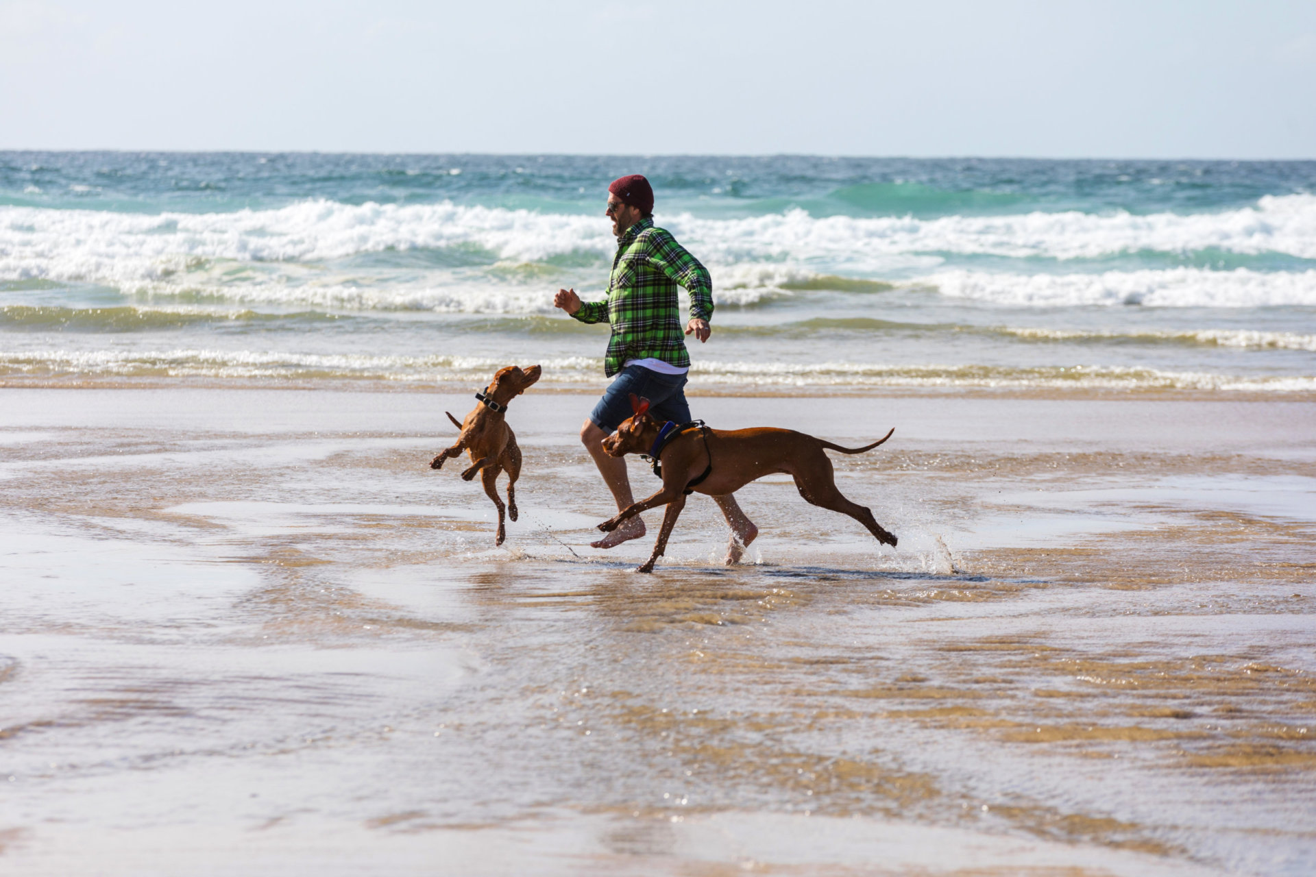 Dog Friendly Perranporth Beach