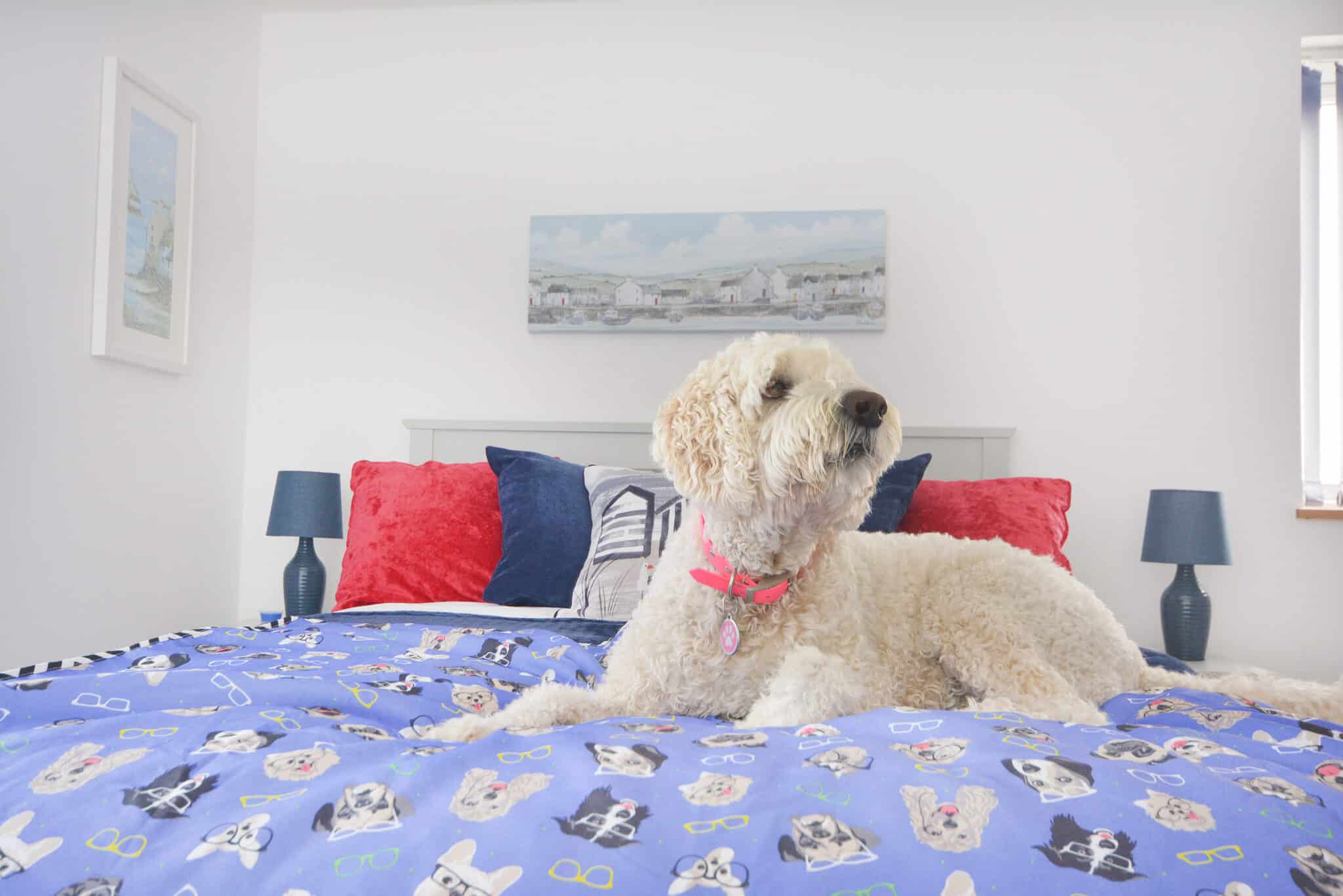Dog Friendly Cottages in Perranporth, Cornwall Duchy Holidays