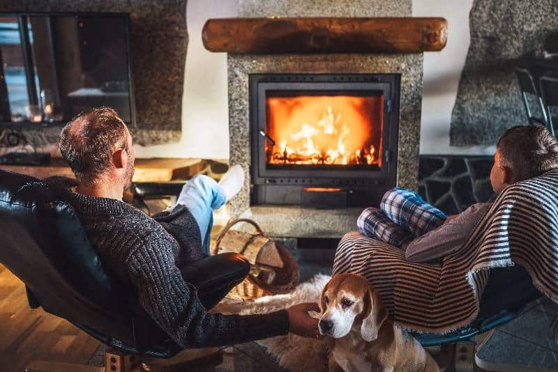 Sitting by the fire in a dog friendly cottage in Cornwall