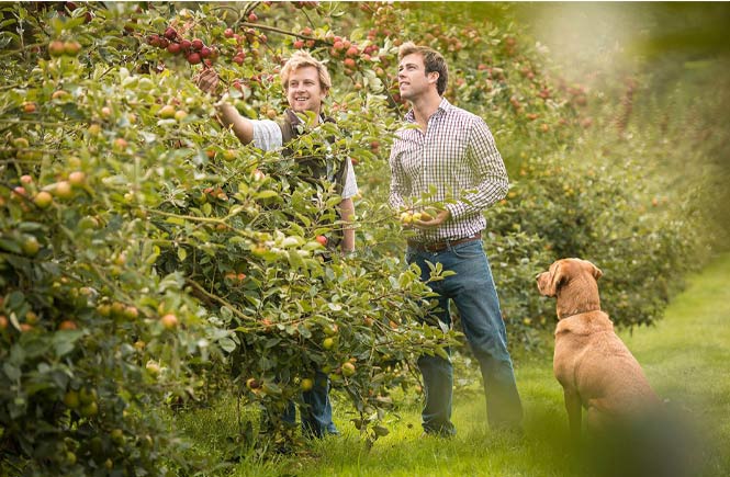 Dog Friendly Credit: Healeys Cyder Farm