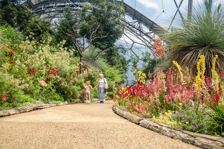 Mediterranean biome at the Eden Project in Cornwall